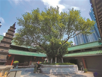 9460411_duzj_1671712698159_b.jpg