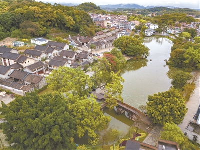 周末好去處 打卡廣州14條精品新鄉村示范帶